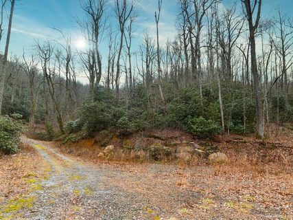 Tbd Pheasant Hollow Drive 37 sold home in Miller Cove, Black Mountain, NC