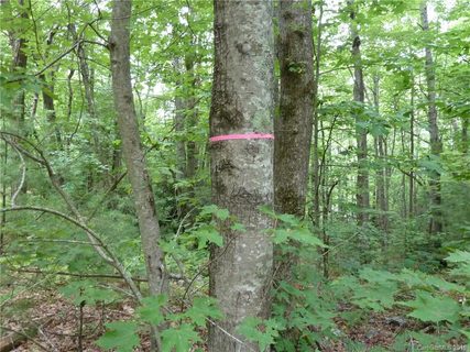 2 N Pointe Drive sold home in Ann Mountain Estates, Zirconia, NC