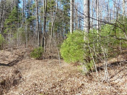 5 30 N Pointe Drive 5 & 30 sold home in Ann Mountain Estates, Zirconia, NC