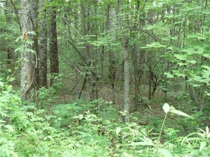 8 9 10 N Pointe Drive 8 & 9 & 10 sold home in Ann Mountain Estates, Zirconia, NC
