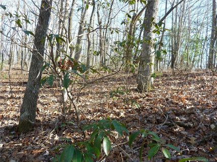 49 Dakota Springs Loop
