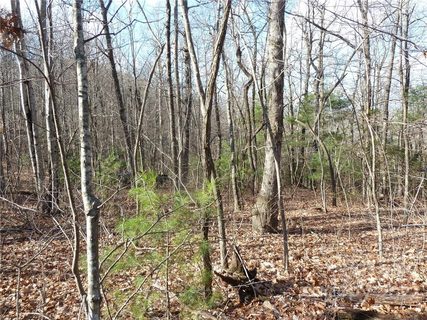 50 N Pointe Drive