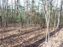51 N Pointe Drive sold home in Zirconia, SC
