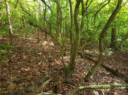 L302 Lynn Crest Drive #302 sold lot in Happy Acres, Brevard, NC