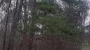 9520 Albemarle Road sold home in Charlotte, SC