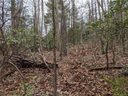 99999 Prospectors Trail sold home in Black Mountain, SC