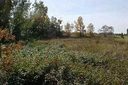 1603 Lewis Farm Road sold home in Kings Mountain, SC