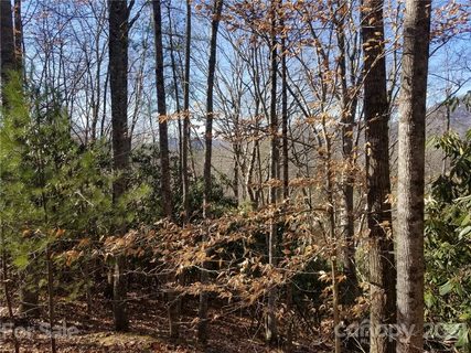 000 Hamlet Drive sold home in Cane River Hamlet, Burnsville, NC