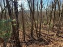 Lot 14 Liz Reece Road sold home in Rosman, SC