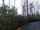 Lot 8 Rainbow S End Lane 8/6 sold home in Lake Toxaway, SC
