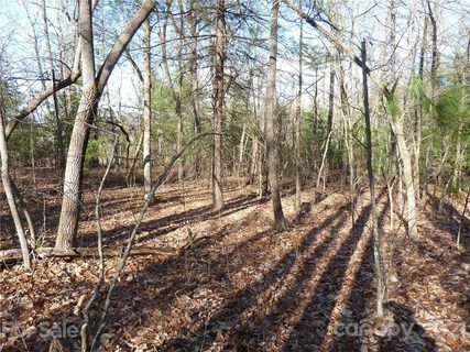 52 N Pointe Drive