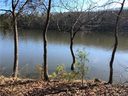 408 Harbor Drive sold home in Lexington, SC