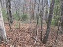 22 Silent Forest Drive sold home in Canton, SC