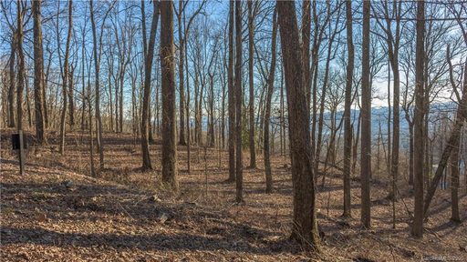 99999 Old Forest Drive 3C sold lot in Pinchot Forest, Asheville, NC