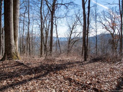 99999 Old Forest Drive 2 sold lot in Pinchot Forest, Asheville, NC