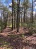 Lot 163a Eagle Lake Drive 163A sold home in Brevard, SC