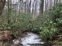 606 Timberline Drive 5/6 sold home in Maggie Valley, SC