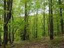Lot 485 Pear Tree Drive sold home in Lake Lure, SC
