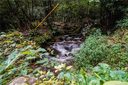 2 89 Acres Lady Slipper Trail 49 & Pt 48 & Adj sold home in Swannanoa, SC