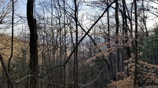 106 Bamboo Trail 11 sold lot in Ashewood, Candler, NC