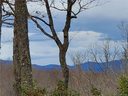 99999 Pisgah Forest Drive 13-B Revised sold home in Pisgah Forest, SC