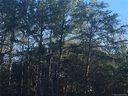20 21 Brookside Drive 20/21 sold home in Norwood, SC
