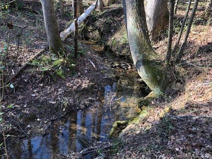 0 Dills Road sold land listing in Richardson Creek, Rutherfordton, NC