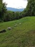Lot 34 Rimesdale Way sold home in Waynesville, SC