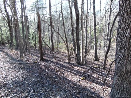 46 Piney Gate Road