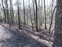 46 Piney Gate Road sold home in Saluda, SC