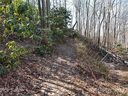 00 Bee Tree Road 103B sold home in Swannanoa, SC