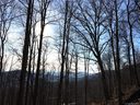 62 Elk Trail sold home in Fairview, SC