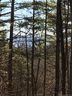 Tbd Robinhood Road sold home in Asheville, SC