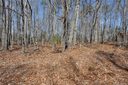 0 Redwood Lane 4 sold home in Chester, SC