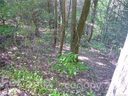 772 Rich Mountain Road sold home in Flat Rock, SC