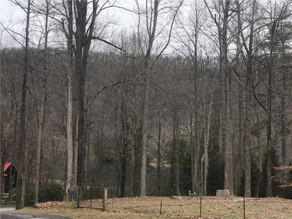 9 Tanglewood Lane