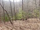 Lot 37 Rainbow Trout Drive sold home in Tuckasegee, SC