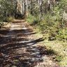 10 Black Bear Lane 10,11,12 sold home in Sapphire, SC