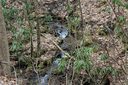 Lot 14 Teaberry Ridge Road sold home in Waynesville, SC