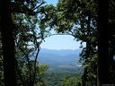 201 Briarcliff None 6 sold home in Asheville, SC