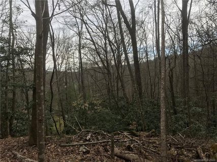 Lot 7 Pisgah Forest Drive