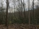 Lot 7 Pisgah Forest Drive sold home in Pisgah Forest, SC