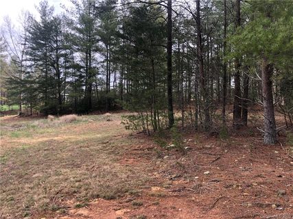 Tbd Big Tree Way 13 sold home in Sunset Point, Nebo, NC