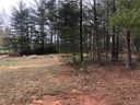 Tbd Big Tree Way 13 sold home in Nebo, SC
