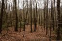 Lot 170 Poplar Drive sold home in Lake Lure, SC