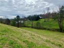 55 Double Brook Drive sold home in Weaverville, SC