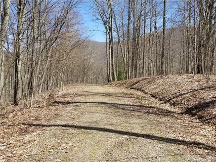 7 Black Bear Lane sold home in The Ridge Tops of Hawks Nest, Burnsville, NC
