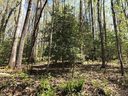 99999 Southwicke Drive sold home in Arden, SC
