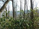 Lot 30 Summit Ridge Drive sold home in Waynesville, SC
