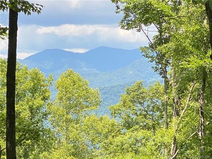 1251 Arborcrest Way 41